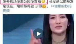 蔡永康爆料谢娜视频播放,蔡永康揭露谢娜视频播放背后真相