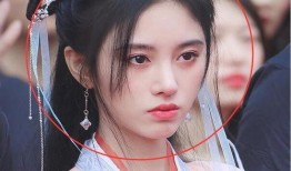 白鹿爆料明星视频在哪看,独家观看指南