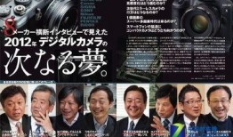 日本高管爆料视频,揭秘日本企业真实面貌
