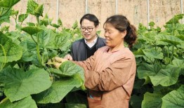 平乡网红吃瓜事件真相揭秘,揭秘背后真相与争议