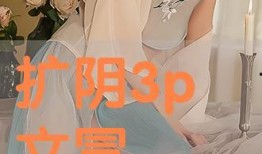 3p在线观看,在线观看之旅，解锁无限精彩