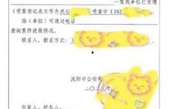 网红吃瓜群群名qq,QQ群名背后的娱乐风云