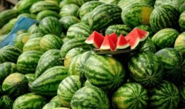 网红吃瓜人员是谁,揭秘娱乐圈幕后真相