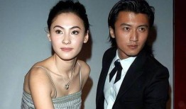 谢霆锋张柏芝最新爆料,揭秘婚姻内幕与情感纠葛