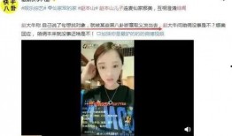 李炮儿爆料新闻视频播放,揭秘新闻视频幕后真相