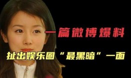 娱乐圈前经纪人爆料,揭秘明星背后的真实故事