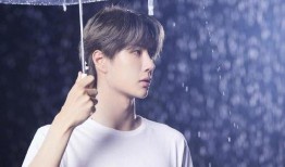 娱乐圈大爆料王一博,娱乐圈风云再起，揭秘他的神秘魅力