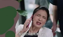 宁姐家邻居爆料的视频是真的吗,宁姐邻居爆料视频真实性揭秘