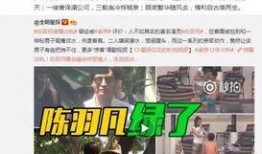 卓伟最新爆料曝光事件视频,揭秘娱乐圈惊天事件视频曝光