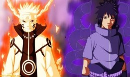 忍界佐助爆料视频,揭秘忍界风云背后的真相