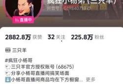 爆料谢娜博主视频大全集,揭秘明星背后的真实故事