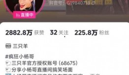 爆料谢娜博主视频大全集,揭秘明星背后的真实故事