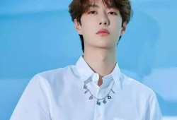 圈内人爆料王一博视频,圈内人揭秘背后真相