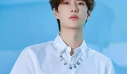 圈内人爆料王一博视频,圈内人揭秘背后真相