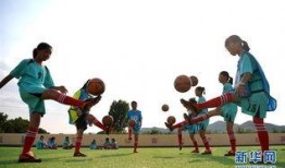 足球梦在线观看,激情燃烧的绿茵战场