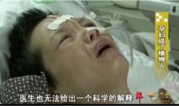 怀胎九月 在线观看,揭秘孕期生活与育儿智慧