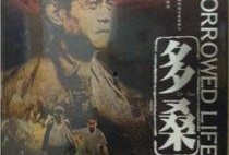 多桑 在线观看,穿越时空的传奇人生在线观看之旅