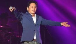 歌手王杰最新爆料歌曲,深情演绎，唤起回忆的旋律