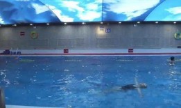 呼市一家游泳馆爆料视频,视频揭露惊人真相！