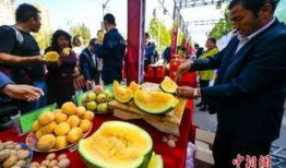 天津最新吃瓜爆料新闻,揭秘某明星幕后风波，真相令人震惊！