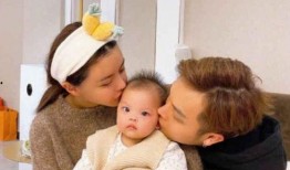 小猪兜儿视频爆料,揭秘娱乐圈幕后真相