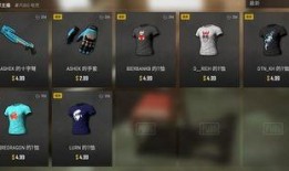 pubg最新的皮肤爆料,PUBG最新爆料带你领略游戏魅力