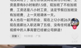 日本高管爆料视频,揭秘日本企业真实面貌