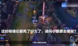 四川爆料者道歉视频完整版,回顾事件始末，反思言论责任